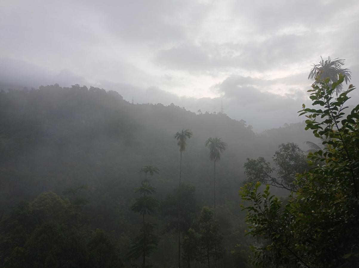 Riverbench Homestay Munnar, Anaviratty Exterior foto