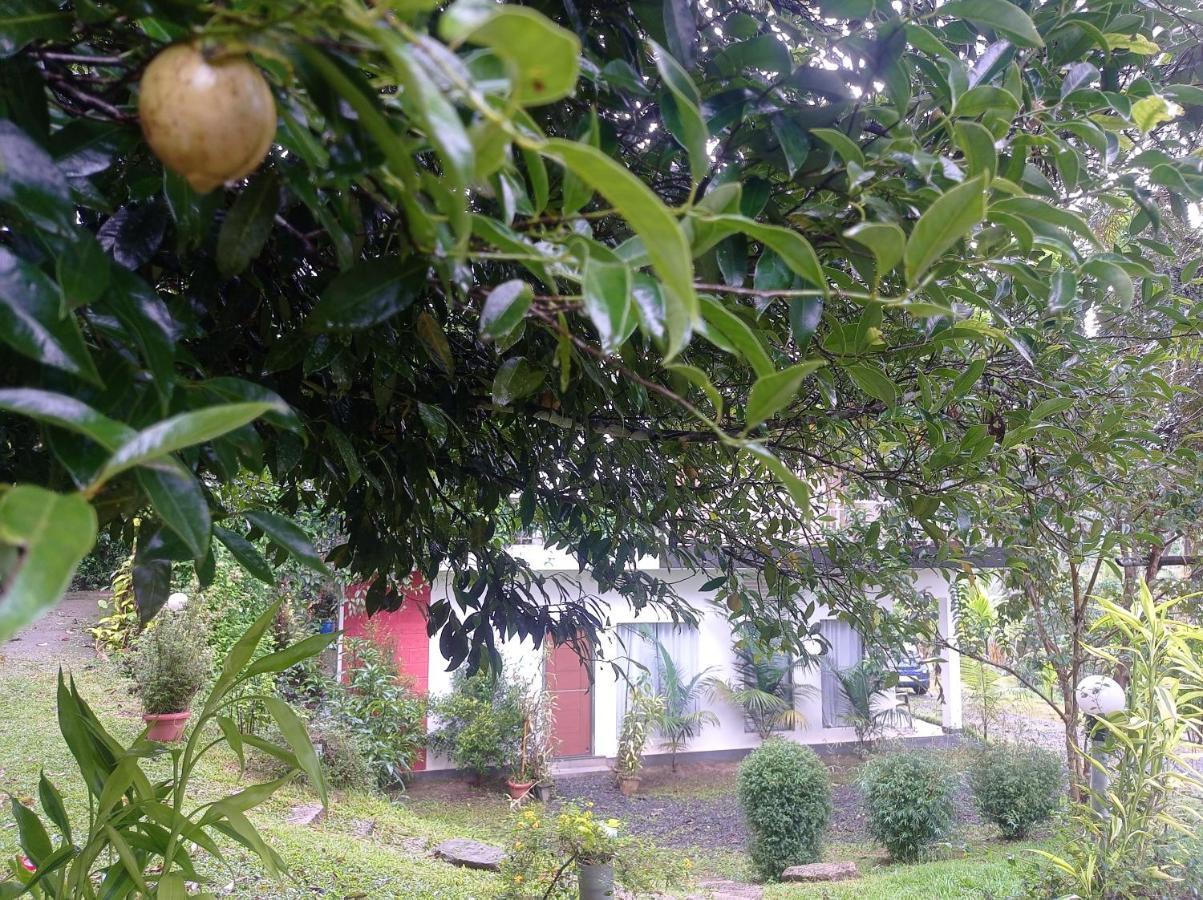 Riverbench Homestay Munnar, Anaviratty Exterior foto
