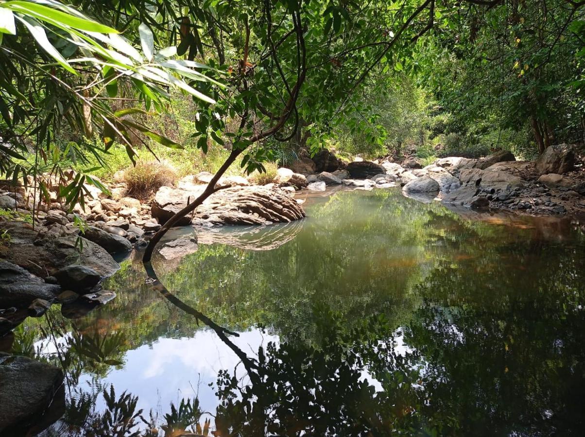 Riverbench Homestay Munnar, Anaviratty Exterior foto